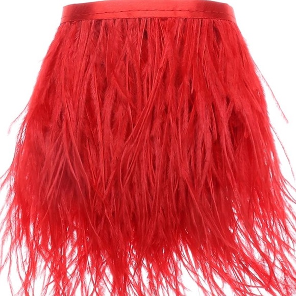 CURIO + KIND feathers skirt red short girl formal - Picture 1 of 8